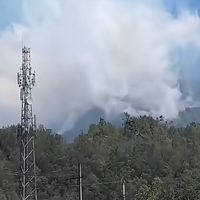 Foto laporan kebakaran