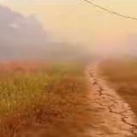 Foto laporan kebakaran