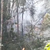 Foto laporan kebakaran
